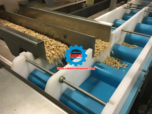 Băng tải con lăn tự do và truyền động trong khu đóng gói